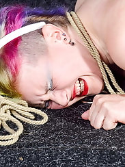 Butterfly honey - xxx big donk